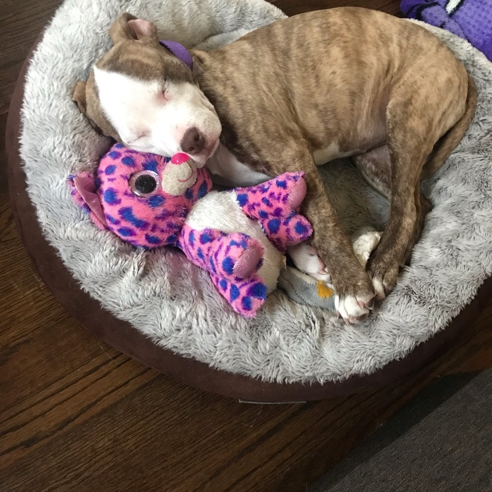 Meet your Posher, Travis